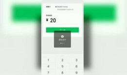 个人爆料视频最新,个人爆料视频背后的惊人真相